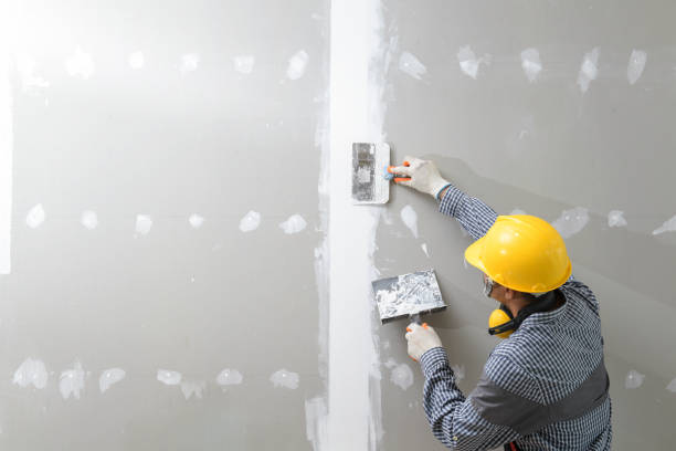 Best Comprehensive Air Testing for Mold Contaminants  in Summit, WA