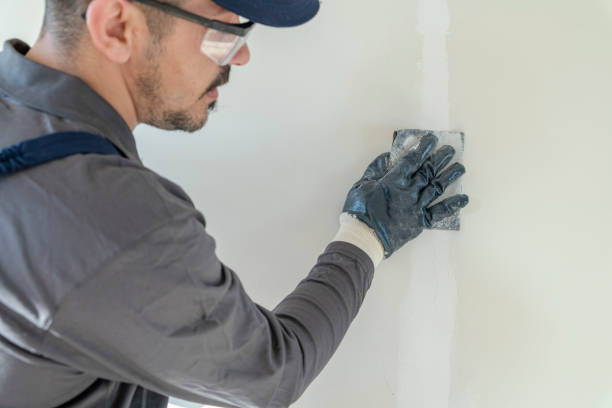 Best Mold Documentation for Insurance Claims  in Summit, WA