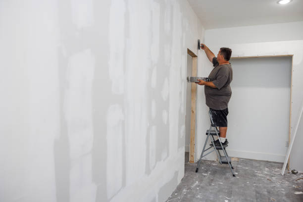 Professional Mold Removal in Summit, WA