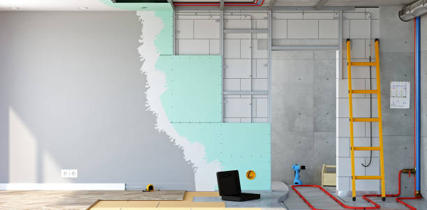 Forensic Mold Investigation in Summit, WA