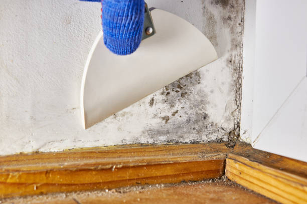Best Post-Remediation Verification Testing  in Summit, WA