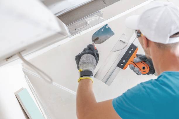Best Basement Mold Removal  in Summit, WA
